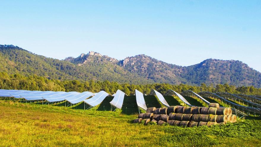 Auch damit tut sich die Umweltbewegung auf Mallorca schwer: eine Solaranlage bei Pollença.