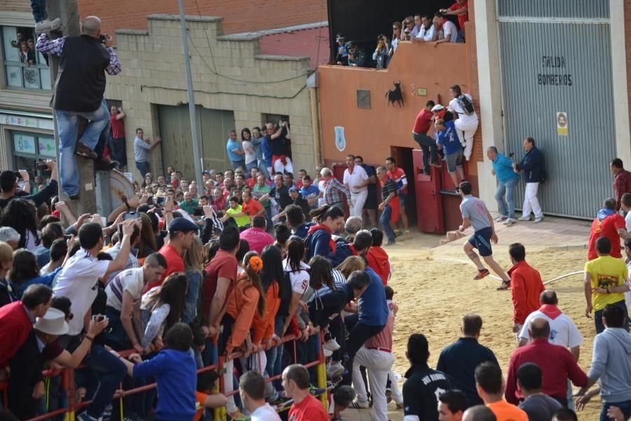 Carrera del Enmaromado 2016