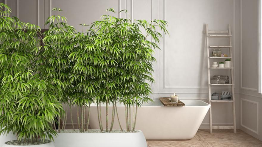32 ideas para decorar con plantas cualquier rincón  Pared con macetas,  Plantas en pared, Plantas en maceta