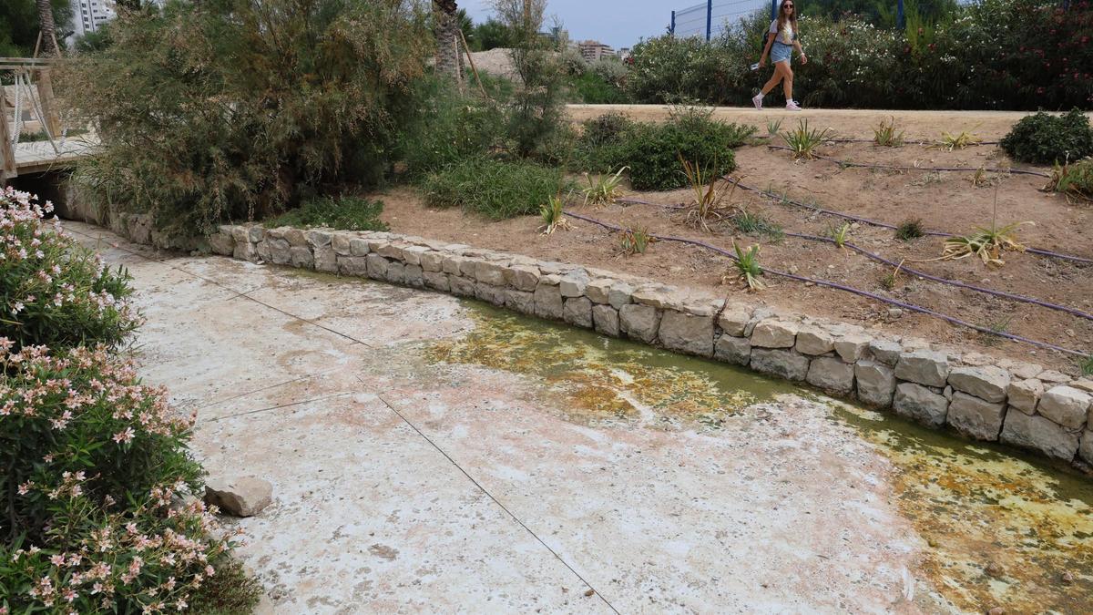 Una joven pasea por una zona del parque del mar en la que debería haber agua.