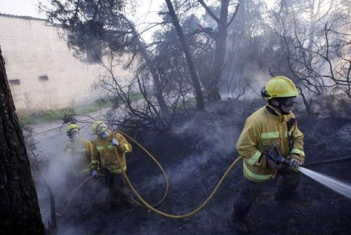 Incendi forestal a peu de les Gavarres