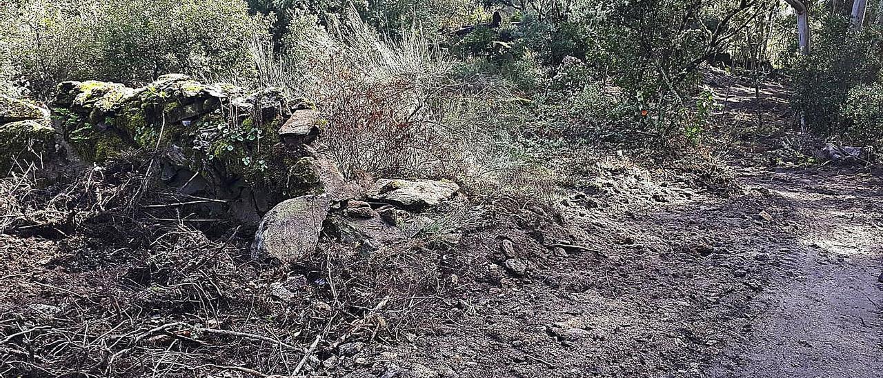 Parte de las talas durante la apertura del camino al cenobio. |   // IÑAKI OSORIO