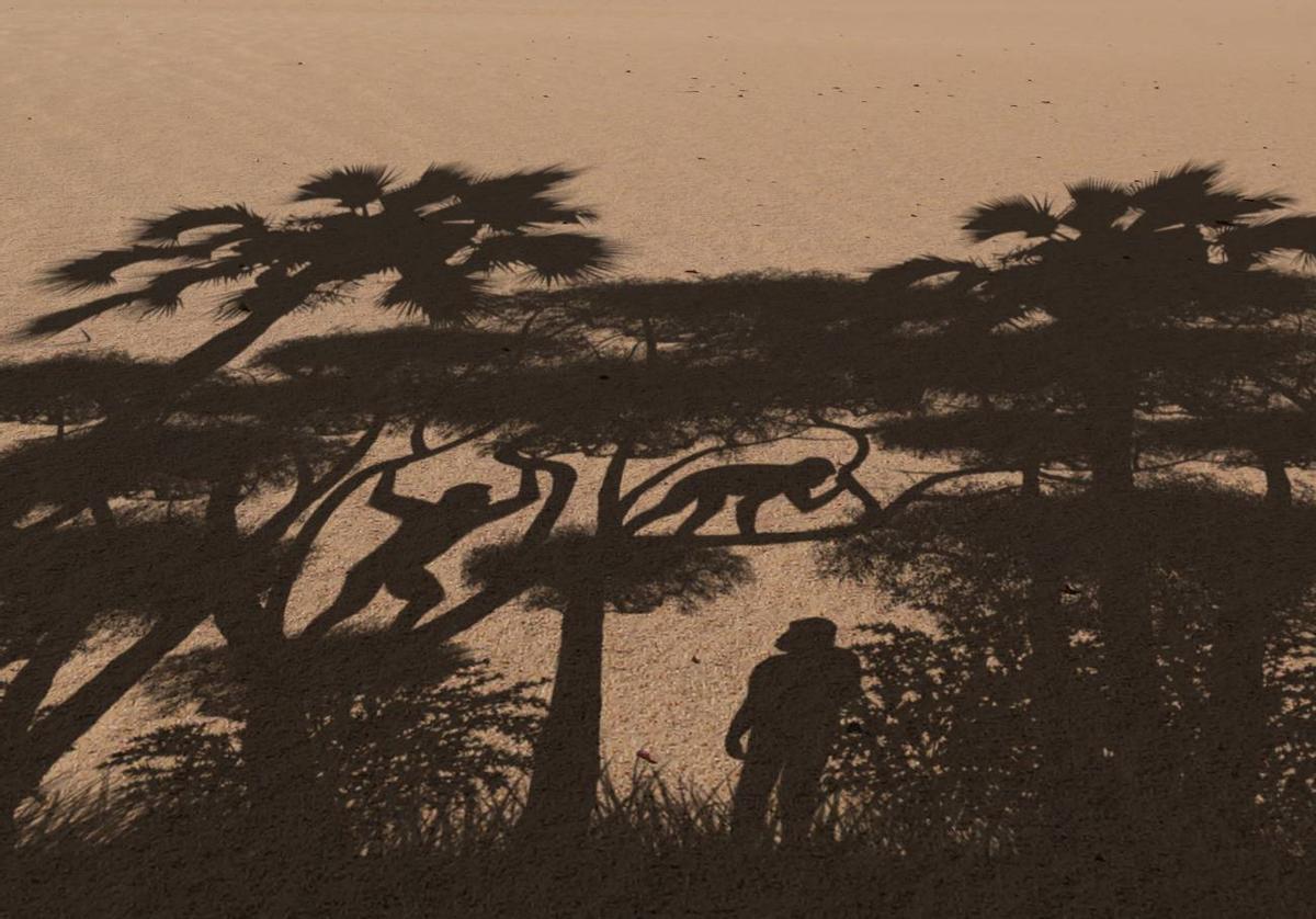 Representación de los modos de locomoción practicados por 'Sahelanthropus'.