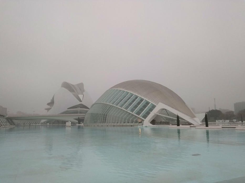 La niebla  obliga a cortar carreteras en València