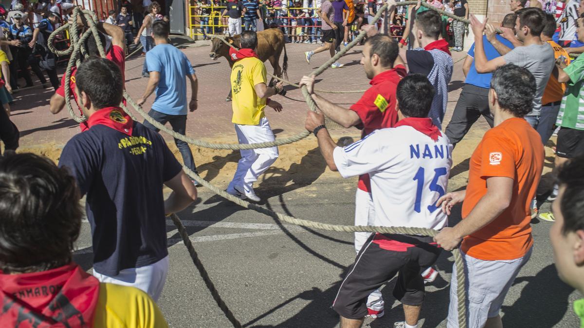 Un Torito del Alba al terminar la carrera.