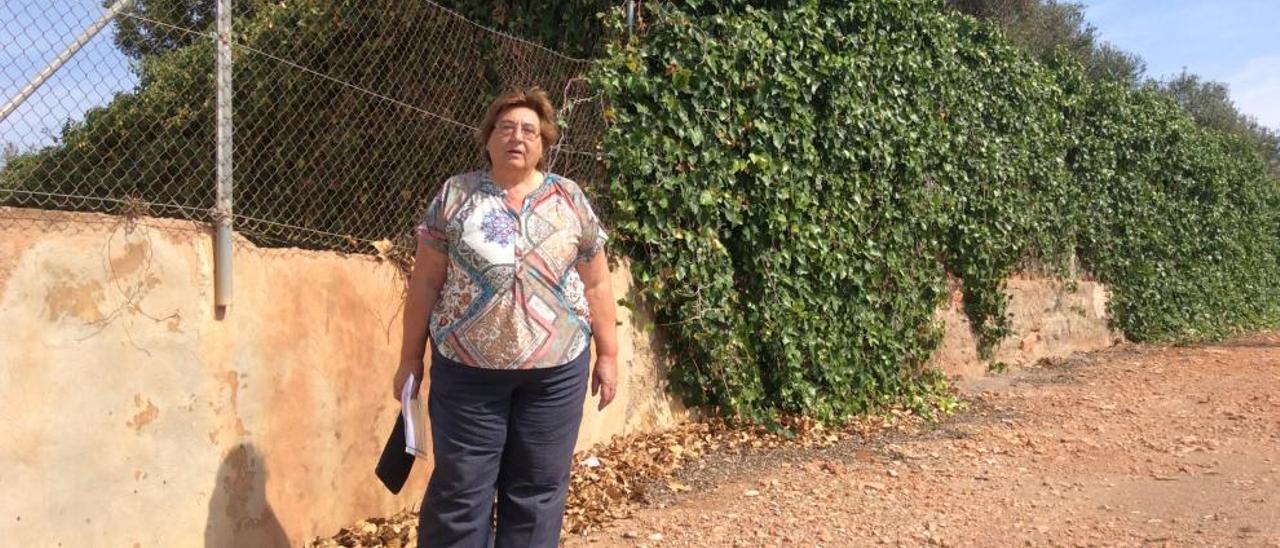 Una mujer halla 50 panales ilegales de abejas tras sufrir un ataque en el Puig