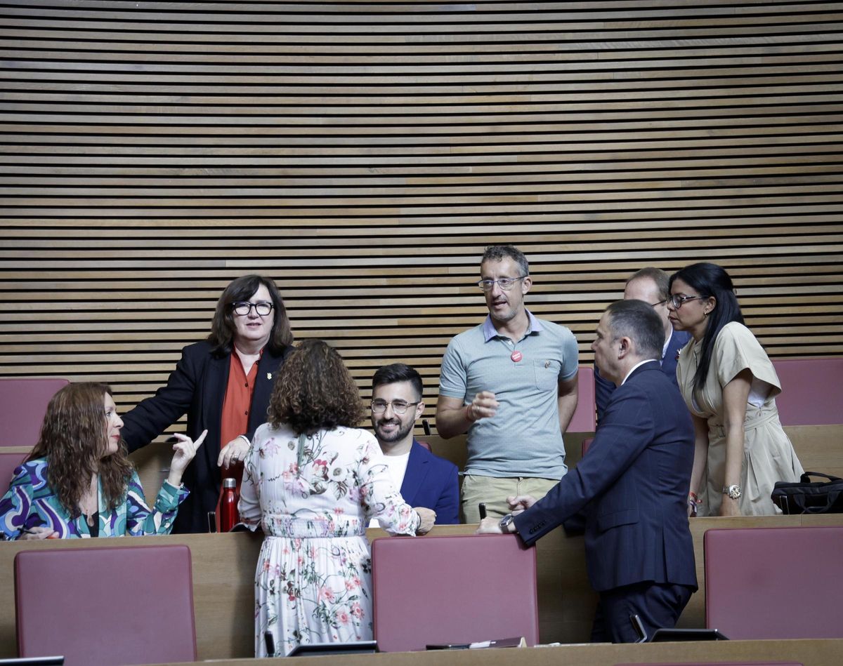 Diputados del PSPV hablan durante el pleno de las Corts, este jueves.