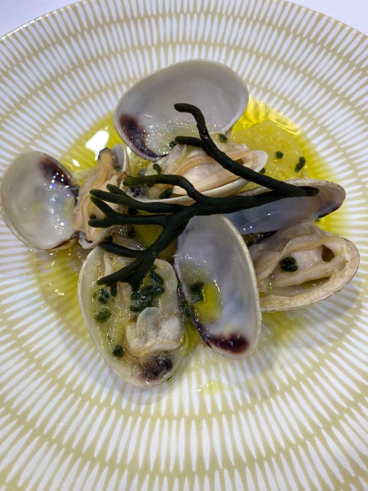 Uno de los platos cocinados ayer.
