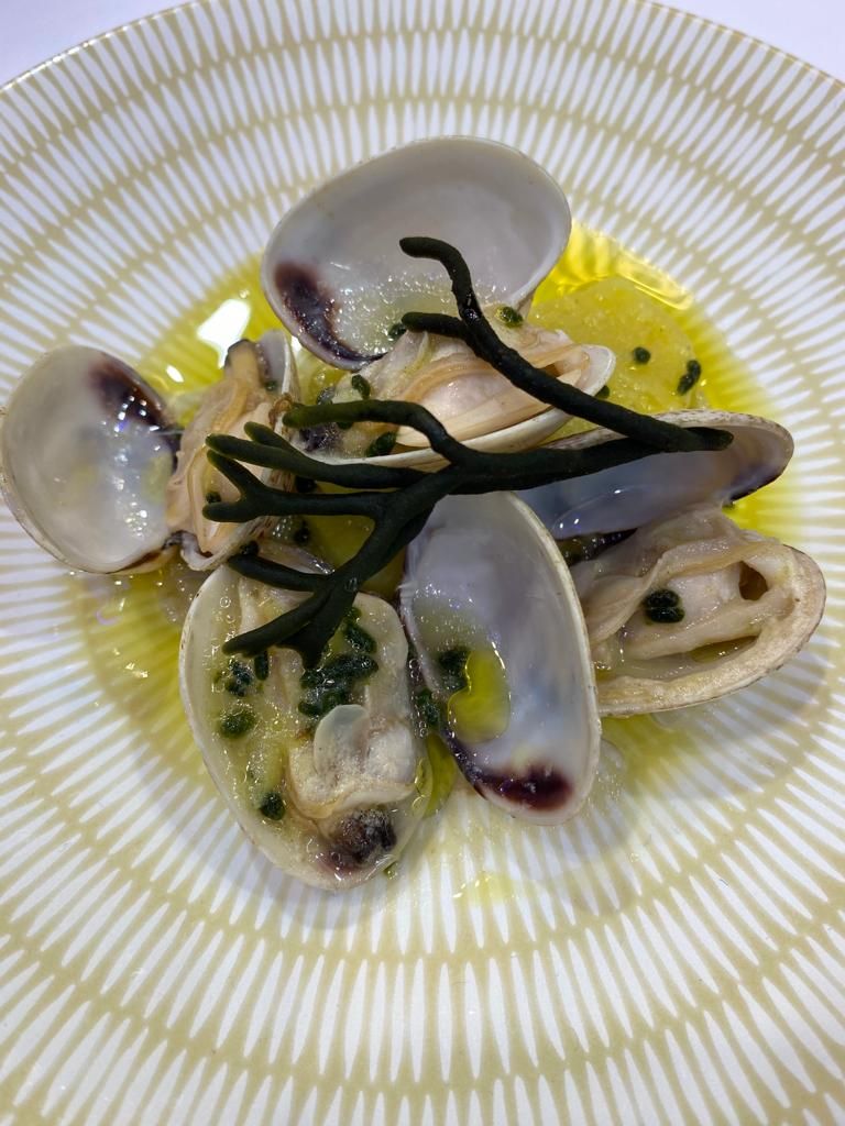 Uno de los platos cocinados ayer: almeja babosa carrilexa en guiso de patata con alga codium.