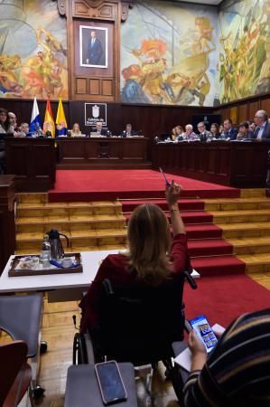 Pleno del Cabildo de Gran Canaria (29/11/19)