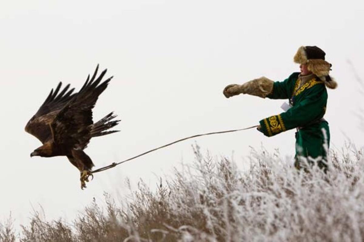 Un altre caçador exhibeix la seva àguila en la competició anual que es porta a terme a Alma-Ata (Kazakhstan).