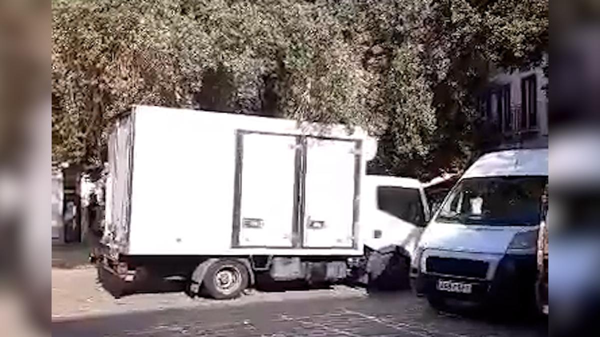 Vehículos de reparto siguen poniendo en riesgo al olivo de la plaza de Cort de Palma