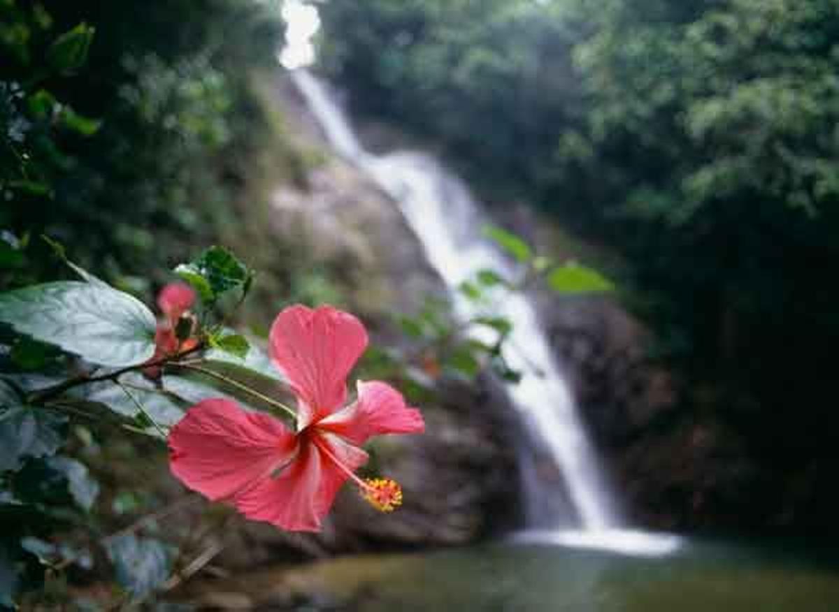 Cascada de Savu Na Mate Laya