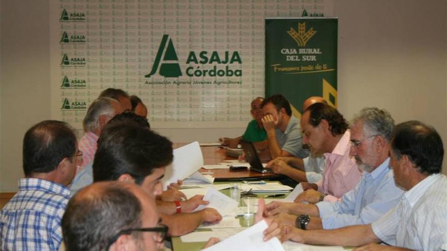Asaja estima que se ha producido una recuperación en los censos de cerdo ibérico