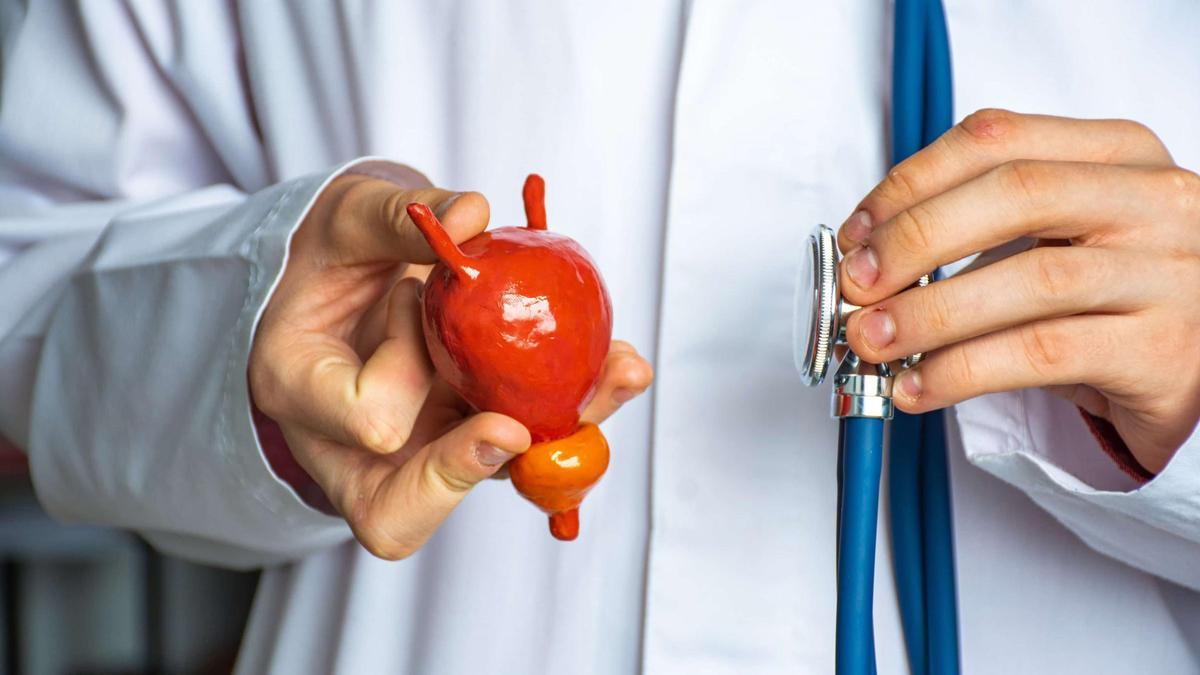 Tabuthema-Prostata-Wie-die-Vorsorge-in-Deutschland-und-auf-Mallorca-funktioniert