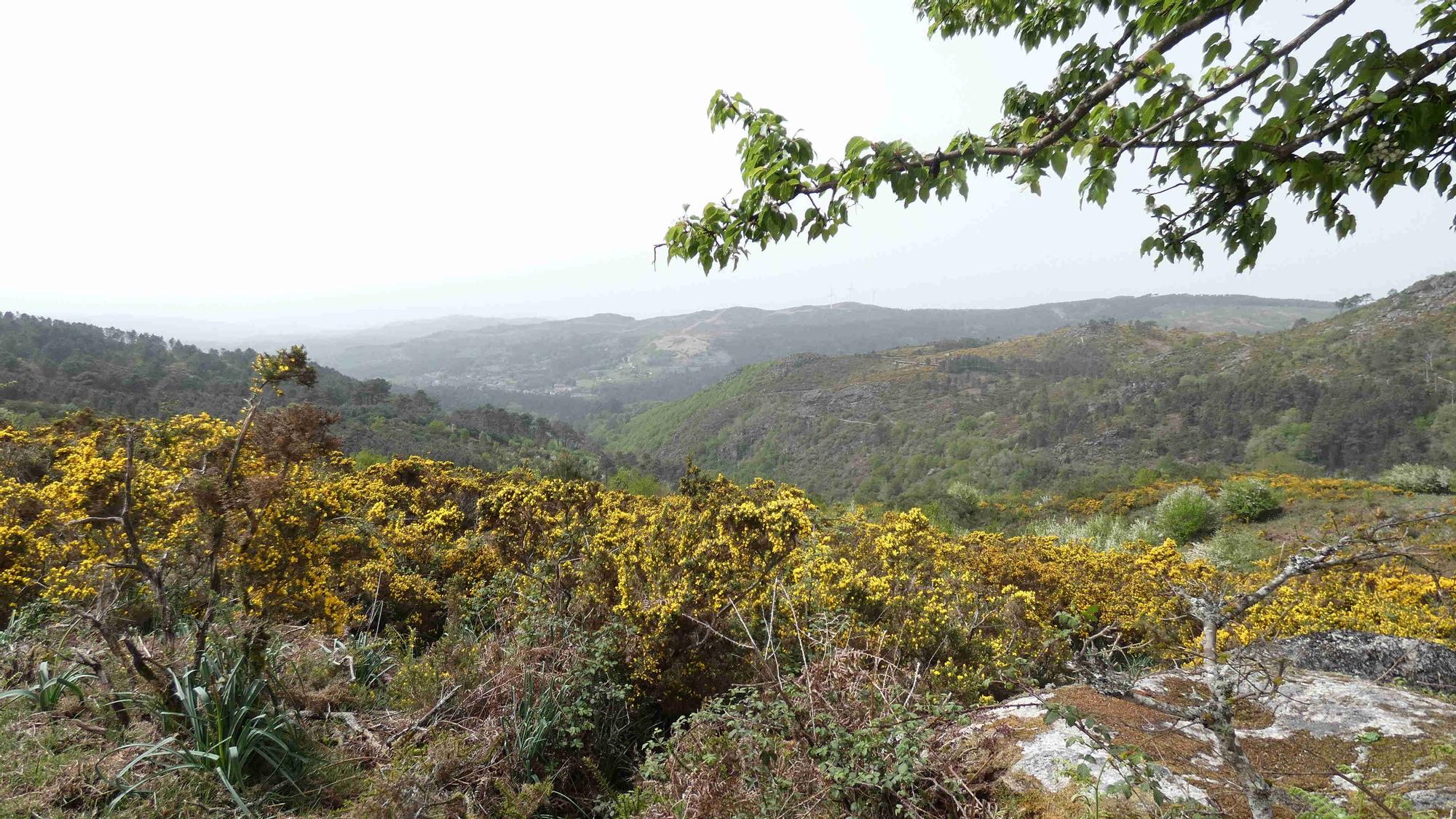 La cascada de Liñares: el "salto del ángel" de las tierras altas de Pontevedra