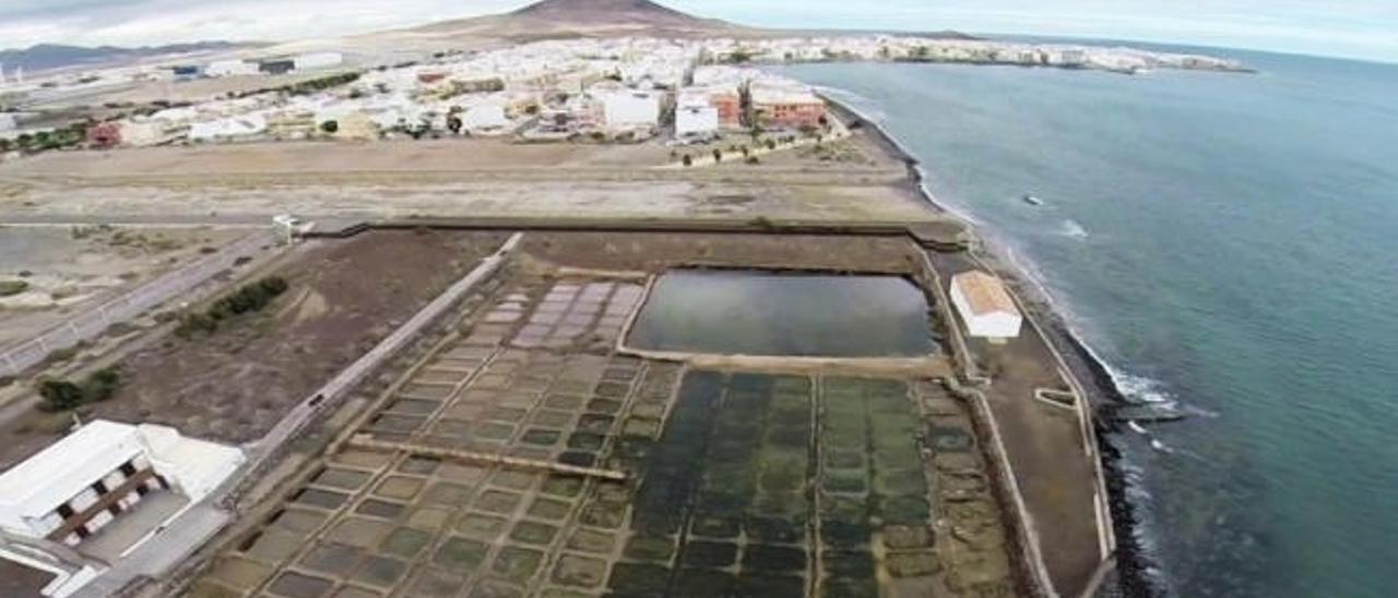 Puertos reduce a la mitad el terreno para el parque biotecnológico de Arinaga