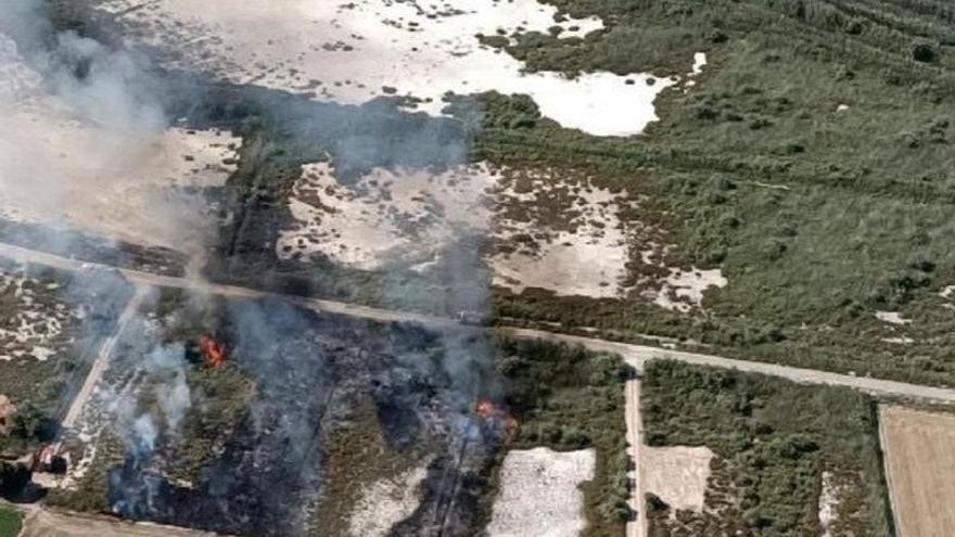 Un incendio en Catral acecha al parque natural del Hondo