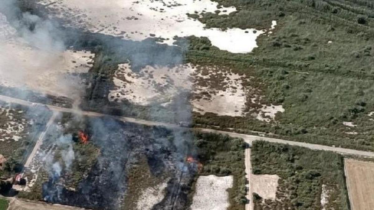 Un incendio en Catral acecha al parque natural del Hondo