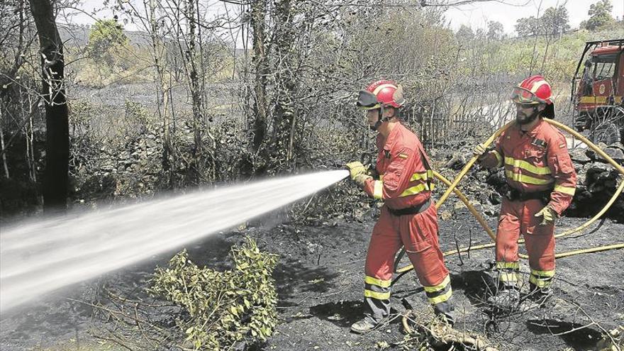 Nueve municipios en zonas de alto riesgo de incendios no tienen aún plan preventivo