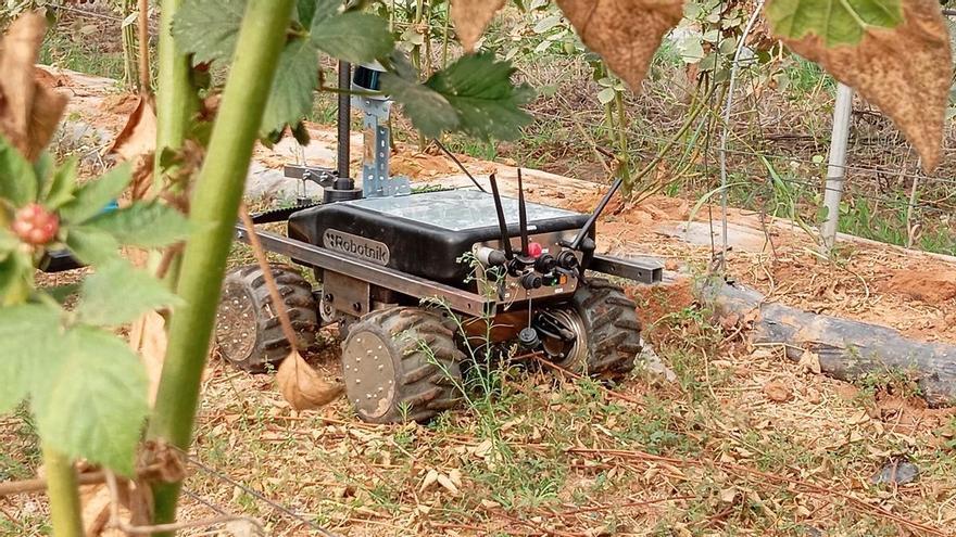 La Universidad de Córdoba participa en el proyecto Bioterrabot para la robotización de la agricultura ecológica