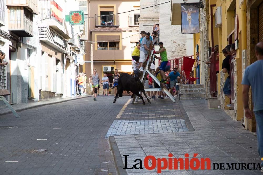 Primer encierro Moratalla