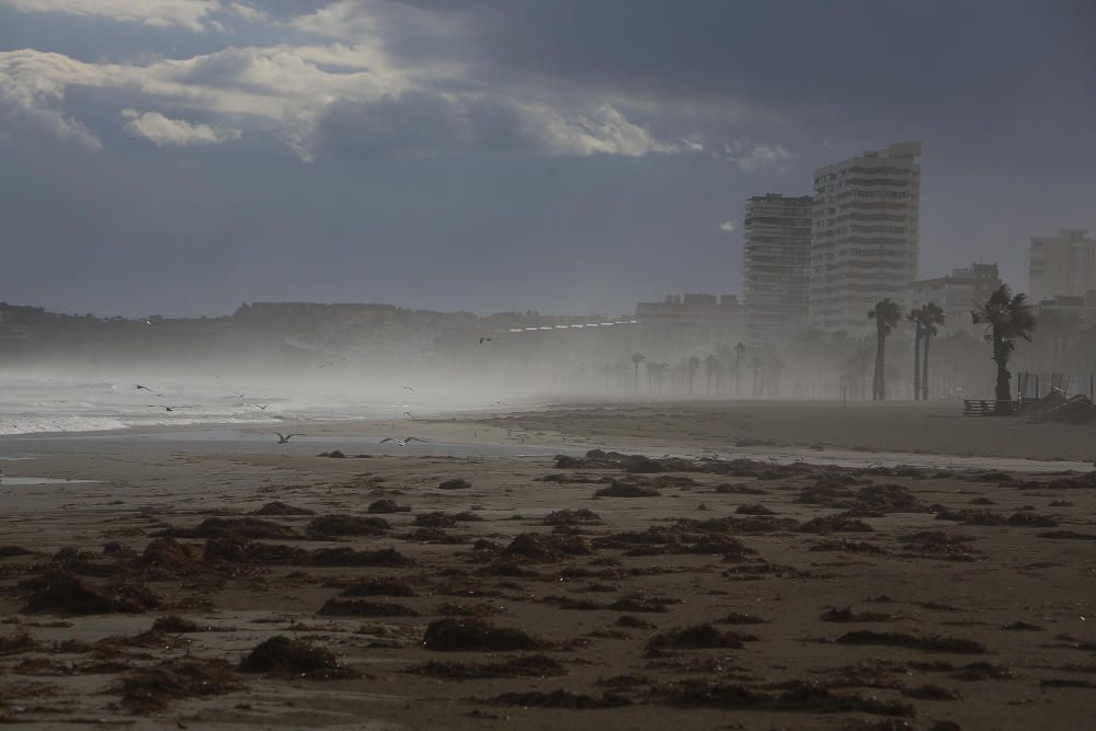 El temporal, en la playa de San Juan y Muchavista