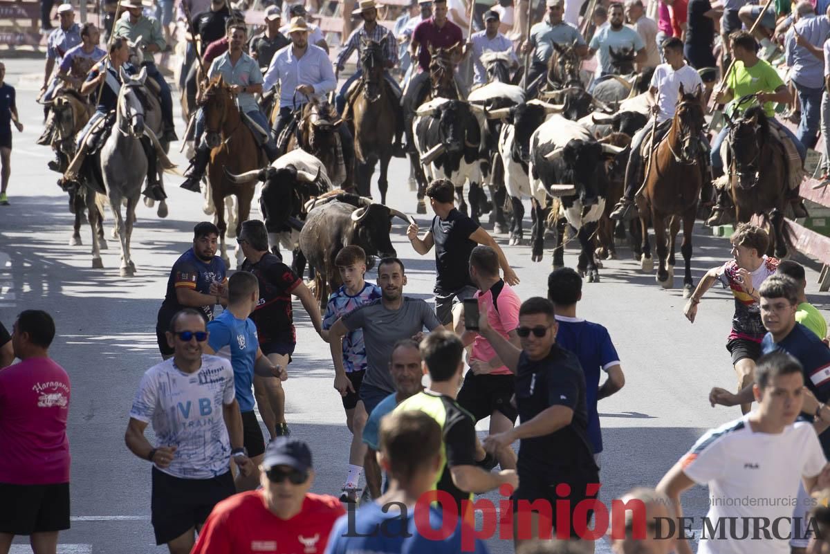 Sexto encierro de las Fiestas de Moratalla