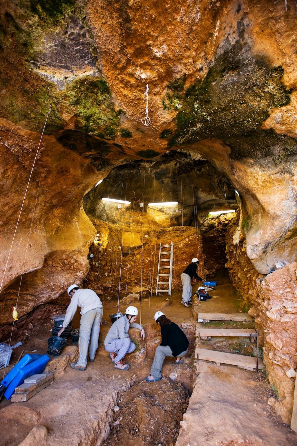En la galería Covacha de los Zarpazos, en Atapuerca, se han encontrado restos de Homo heidelbergensis.