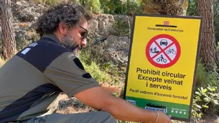 Temps d'incendis: resiliència o paràlisi