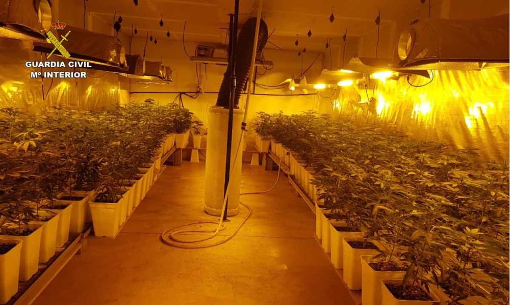 Tres detenidos por cultivar marihuana en una nave industrial de Llucmajor