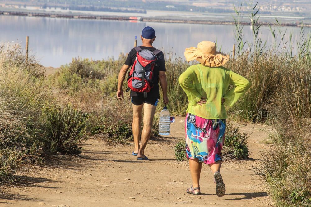 Guardia Civil y Policía cierran el paso a los bañistas en la laguna de Torrevieja. El personal del parque natural y agentes ambientales de la Generalitat informan sobre la prohibición de baño