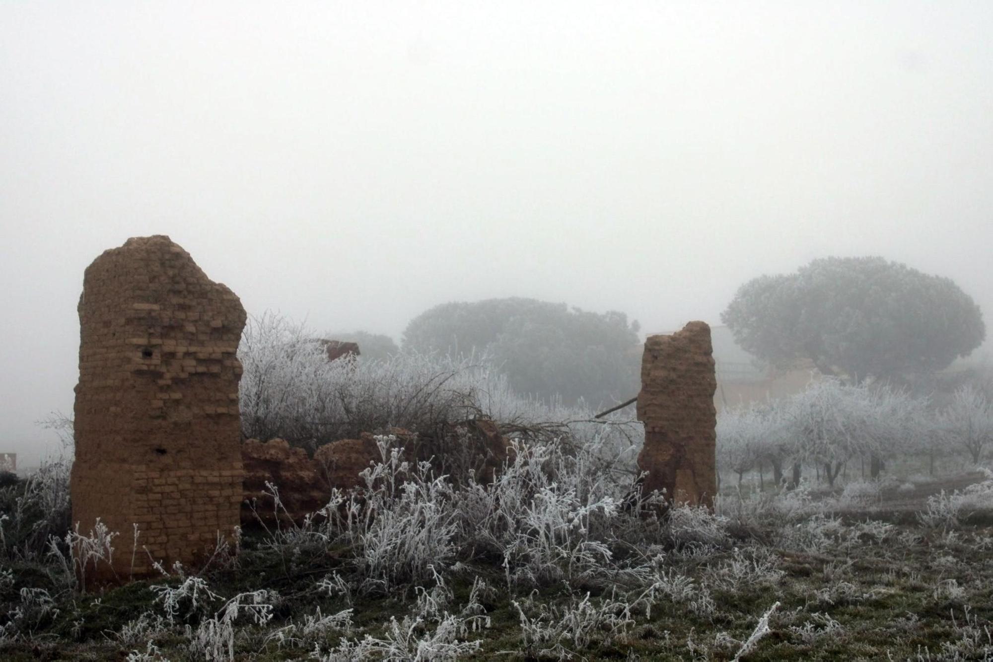 La cencellada deja imágenes espectaculares en Villaveza del agua