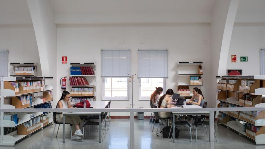 Varias jóvenes estudian en la biblioteca del Campus Viriato. |
