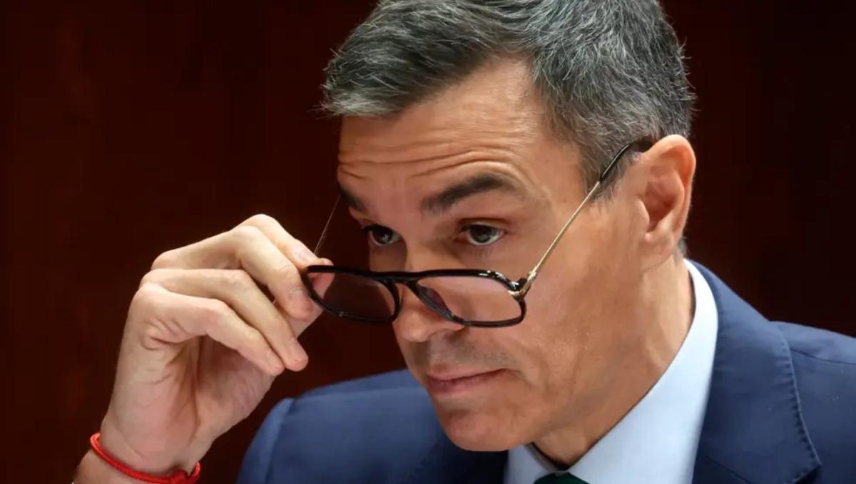 Pedro Sánchez se coloca las gafas en la sesión del Senado.