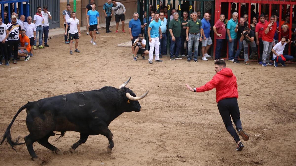 Coronavirus: El ‘bou al carrer’ ofrece cuatro camiones, 100 voluntarios y 1.000 raciones de comida y cena