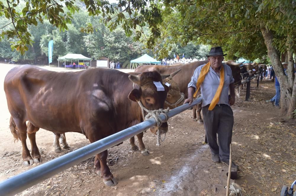 Feria de ganado