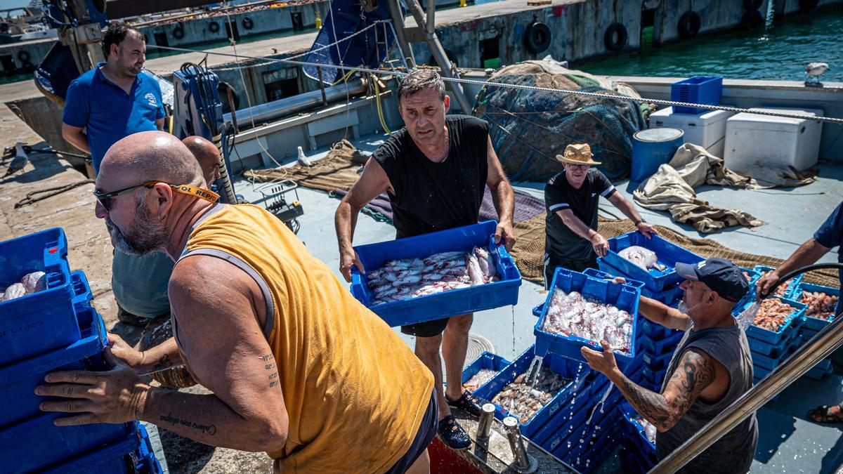 Catalunya incentiva els joves perquè s’incorporin a la pesca