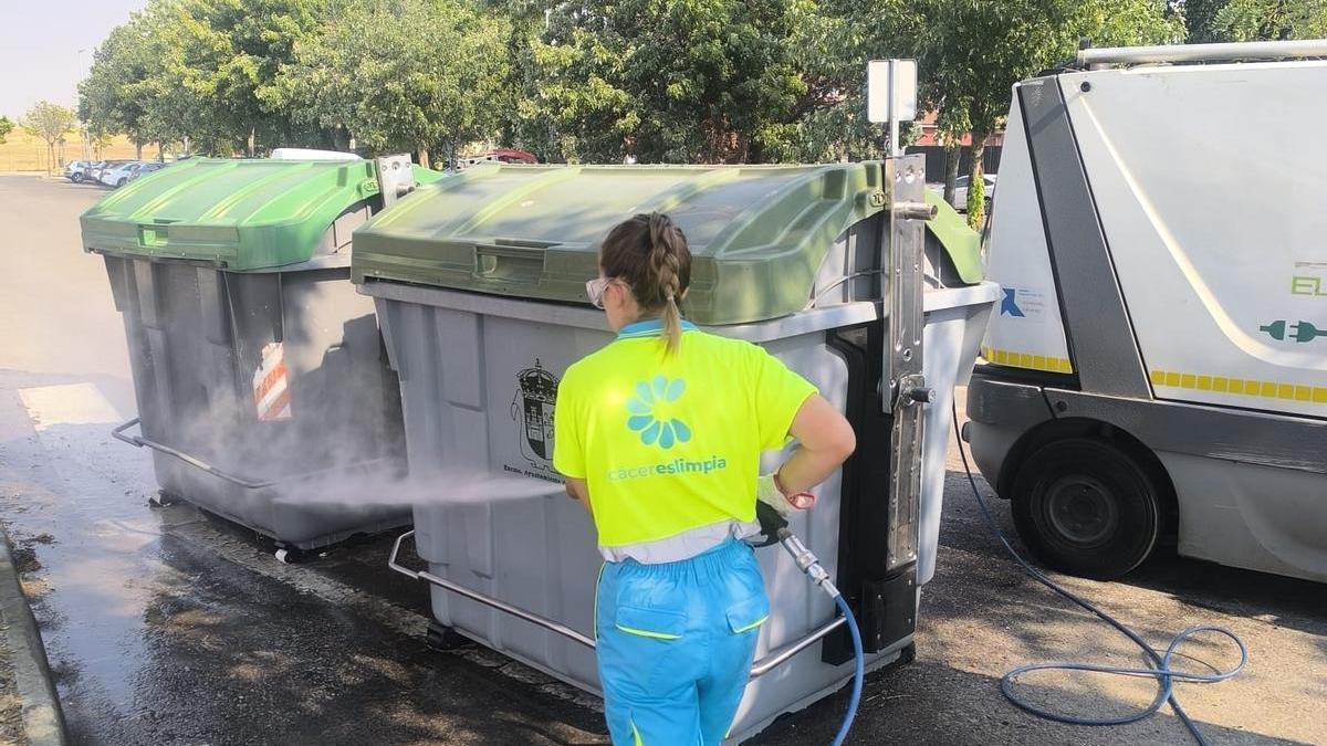 Refuerzo de limpieza en Navidad.