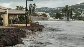 Temporal 'Harry' en Ibiza: la posidonia será la solución para salvaguardar la pasarela de Talamanca