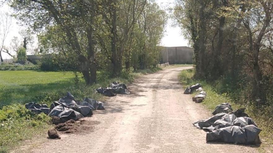 Sacs abocats en mig d&#039;un camí de Vilatenim.