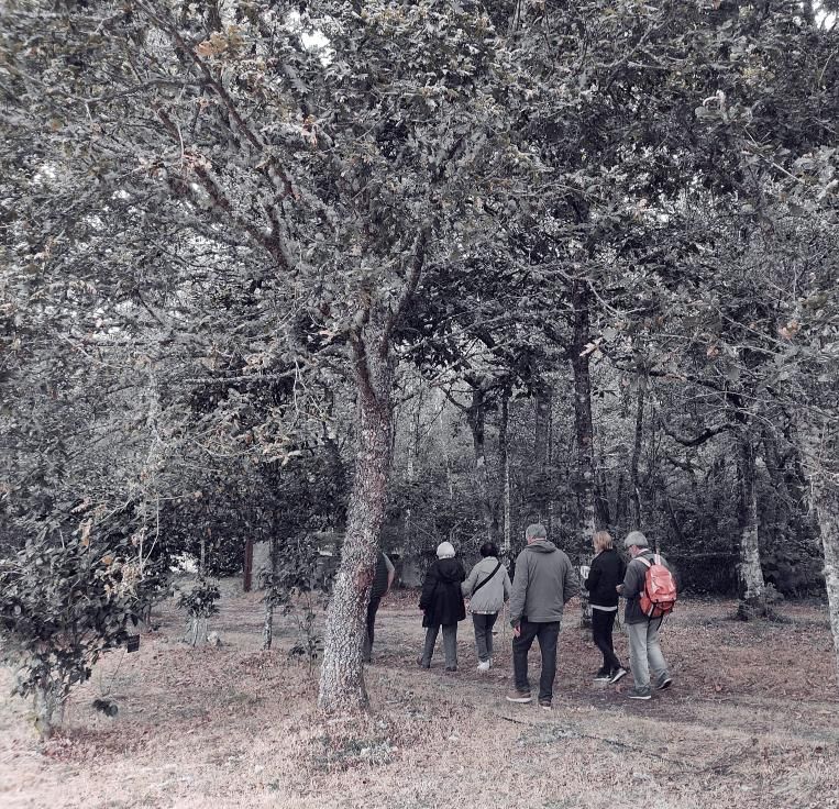 Un paseo entre colores y silencio por el arboreto de Begonte