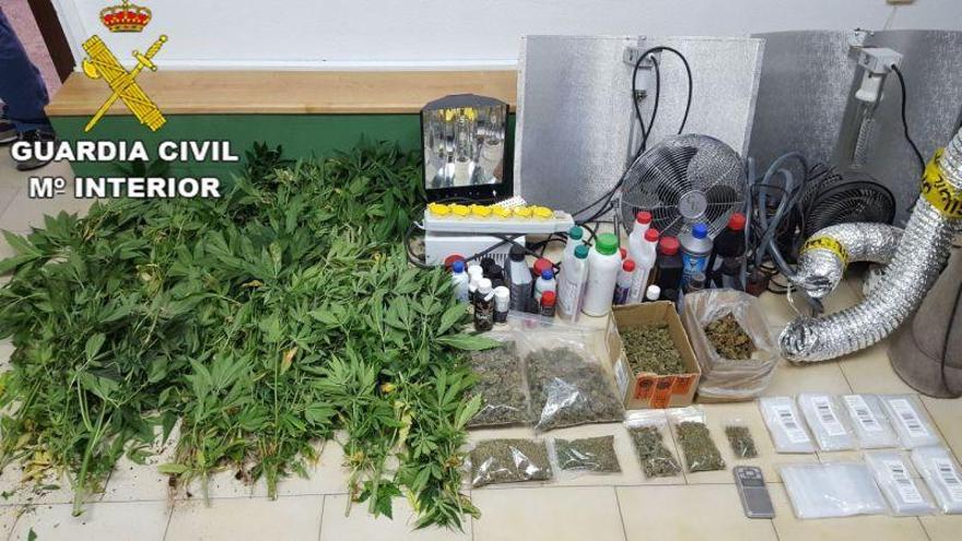 Detenida una persona en Alcañiz que cultivaba 89 plantas de marihuana