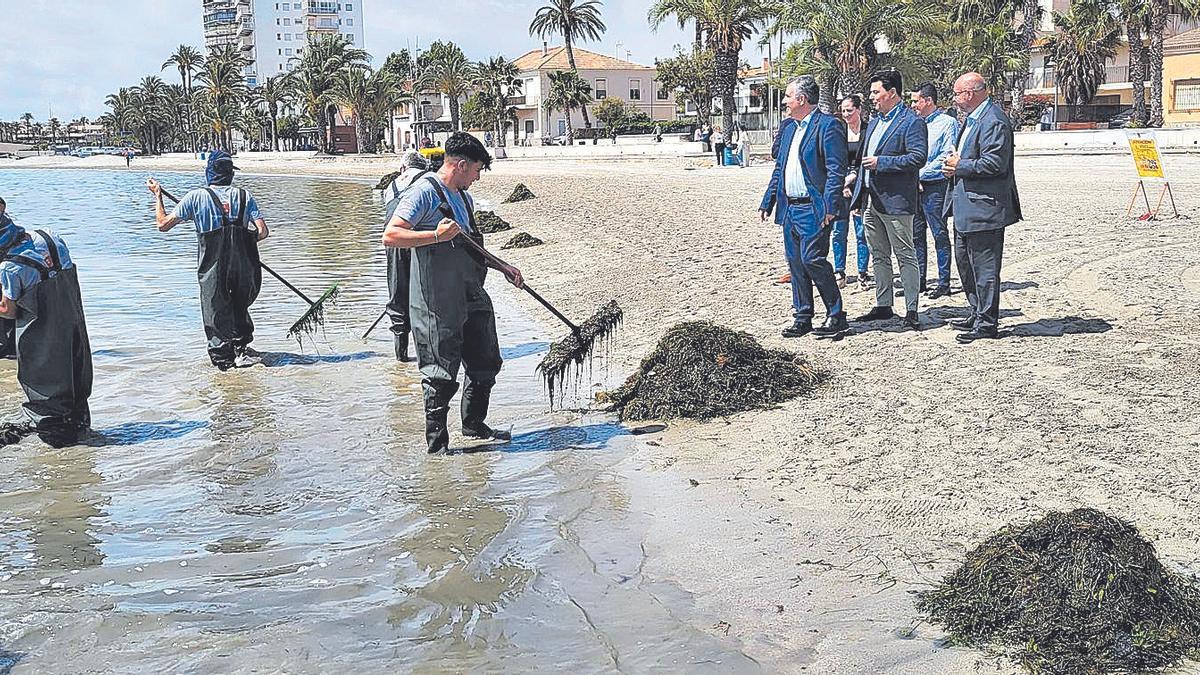Juan María Vázquez y José Miguel Luengo visitan a las brigadas de recogida de biomasa en el Mar Menor.