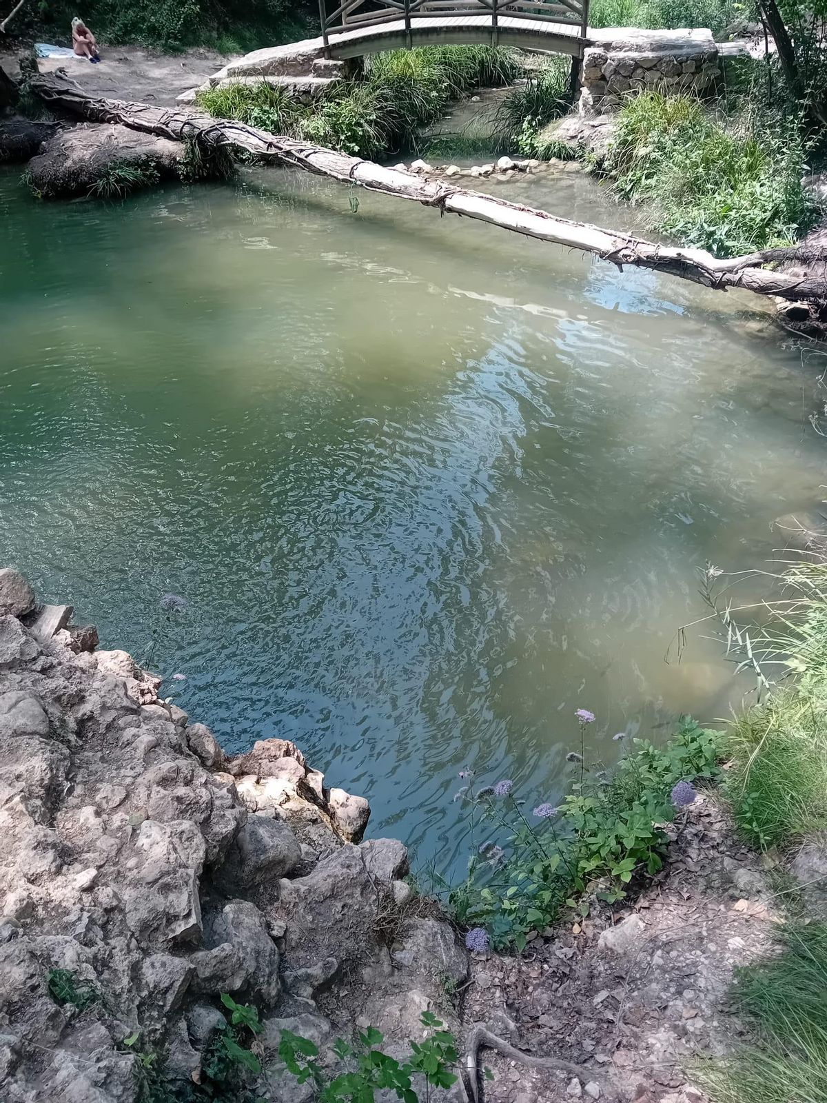 El río Vinalopó en Banyeres, en una imagen de este verano
