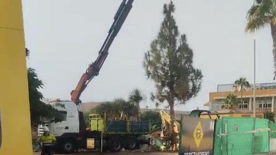 La tala de árboles en Pino Seco arranca pese a la oposición vecinal