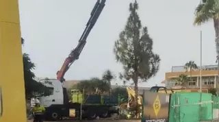 La tala de árboles en Pino Seco arranca pese a la oposición vecinal