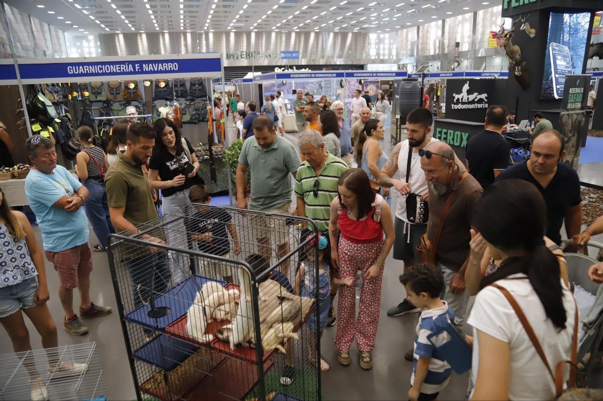 La feria Intercaza 2025, en imágenes