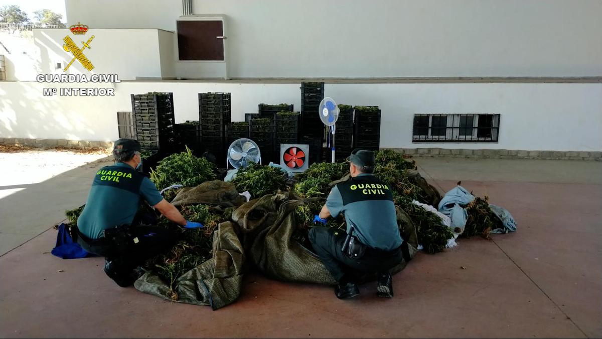 Dos agentes de la Guardia Civil muestran la droga intervenida en Dos Torres.
