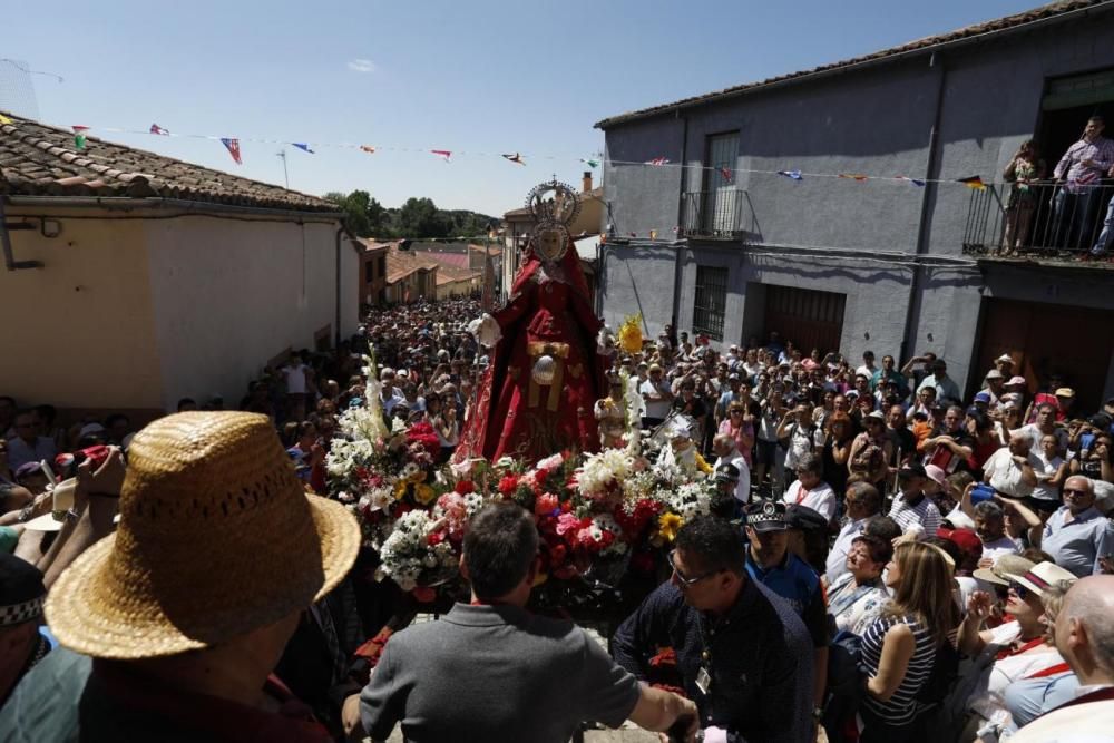 Romería de La Hiniesta